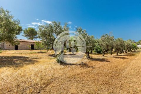 Villa i Lecce, Lecce, Lecce - € 670.000 | Ref: DA 76 - foto 14