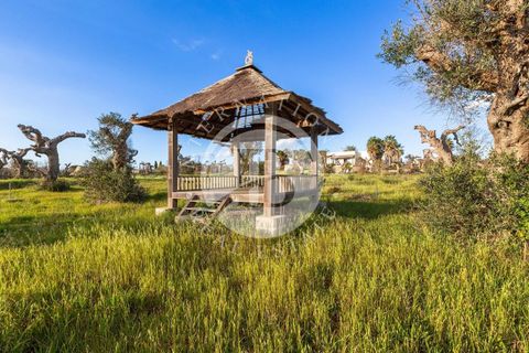 Villa i Lecce, Lecce, Lecce - € 1.390.000 | Ref: DA 96 - foto 9