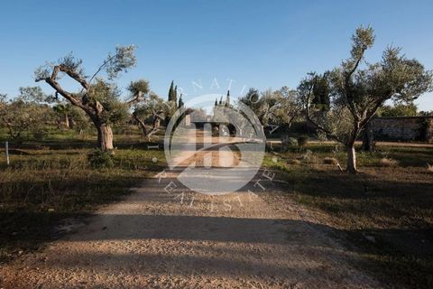 Villa i Lecce, Lecce, Lecce - € 1.390.000 | Ref: DA 96 - foto 34