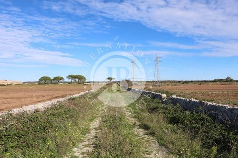 Villa a Lecce, Lecce, Lecce - € 1.300.000 | Ref: DA 105 - foto 18