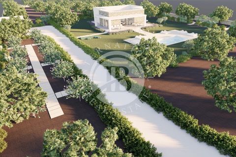 Villa i Salve, Lecce, Salve - € 470.000 | Ref: DA 112 - foto 12