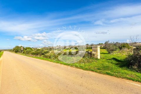 Villa i Salve, Lecce, Salve - € 470.000 | Ref: DA 112 - foto 15