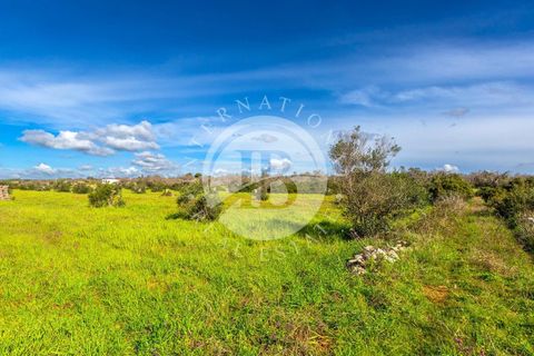 Villa i Salve, Lecce, Salve - € 470.000 | Ref: DA 112 - foto 16