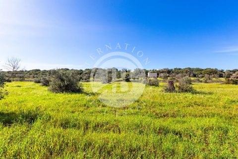 Villa i Salve, Lecce, Salve - € 470.000 | Ref: DA 112 - foto 17