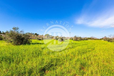 Villa i Salve, Lecce, Salve - € 470.000 | Ref: DA 112 - foto 19