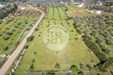 Villa i Salve, Lecce, Salve - € 470.000 | Ref: DA 112 - foto 21