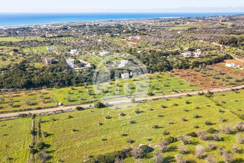 Villa i Salve, Lecce, Salve - € 470.000 | Ref: DA 112 - foto 22