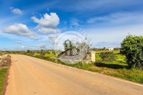 Villa i Salve, Lecce, Salve - € 530.000 | Ref: DA 113 - foto 15
