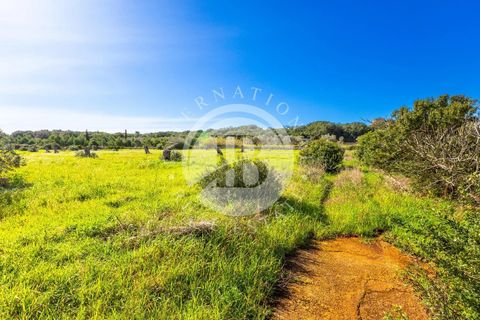 Villa i Salve, Lecce, Salve - € 530.000 | Ref: DA 113 - foto 16