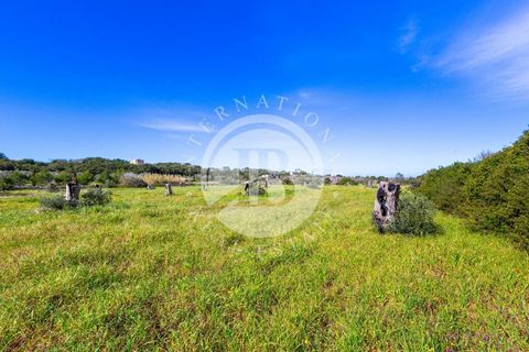 Villa i Salve, Lecce, Salve - € 530.000 | Ref: DA 113 - foto 17