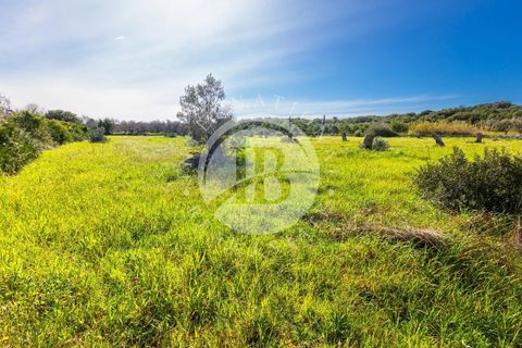 Villa i Salve, Lecce, Salve - € 530.000 | Ref: DA 113 - foto 18