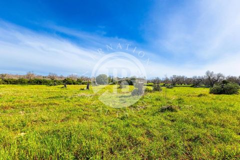 Villa i Salve, Lecce, Salve - € 530.000 | Ref: DA 113 - foto 19
