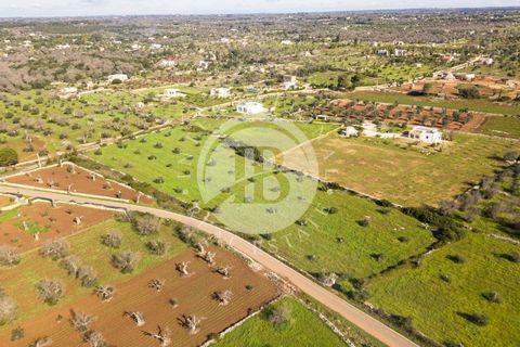 Villa i Salve, Lecce, Salve - € 530.000 | Ref: DA 113 - foto 20