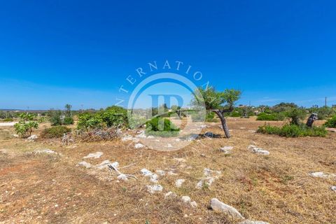 Villa a Salve, Lecce, Salve - € 830.000 | Ref: DA 127 - foto 12