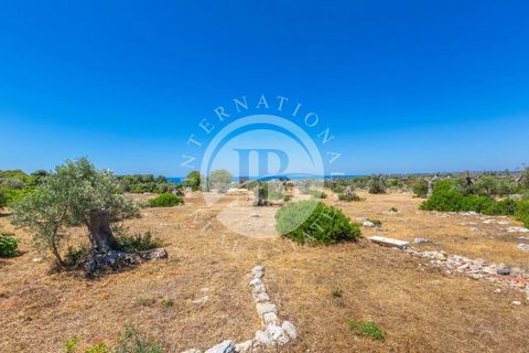 Villa a Salve, Lecce, Salve - € 830.000 | Ref: DA 127 - foto 13