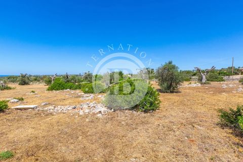 Villa a Salve, Lecce, Salve - € 830.000 | Ref: DA 127 - foto 14