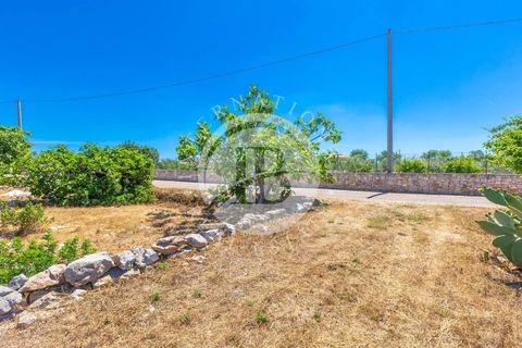 Villa a Salve, Lecce, Salve - € 830.000 | Ref: DA 127 - foto 15