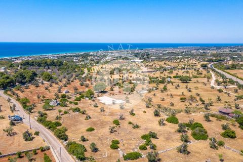 Villa a Salve, Lecce, Salve - € 830.000 | Ref: DA 127 - foto 23