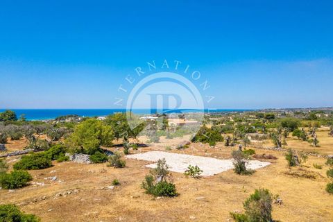 Villa a Salve, Lecce, Salve - € 830.000 | Ref: DA 127 - foto 27