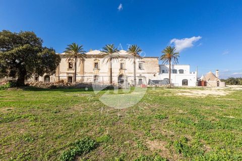 Villa a Crispiano, Taranto, Crispiano - € 3.500.000 | Ref: DA 133 - foto 7