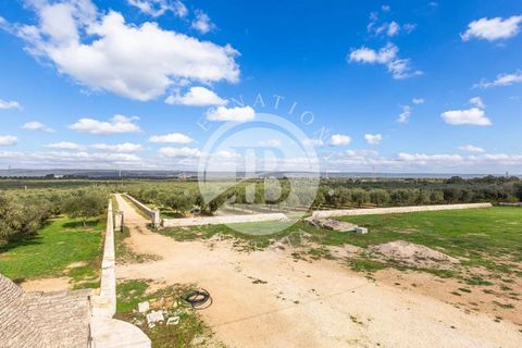 Villa a Crispiano, Taranto, Crispiano - € 3.500.000 | Ref: DA 133 - foto 10