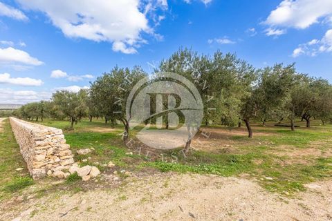 Villa a Crispiano, Taranto, Crispiano - € 3.500.000 | Ref: DA 133 - foto 11