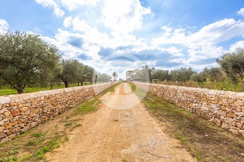 Villa a Crispiano, Taranto, Crispiano - € 3.500.000 | Ref: DA 133 - foto 44