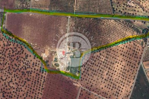Villa a Crispiano, Taranto, Crispiano - € 3.500.000 | Ref: DA 133 - foto 47