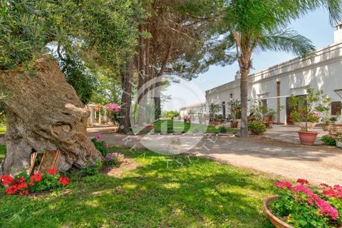 Leilighet i Ginosa, Taranto, Ginosa - € 1 450 000 | Ref: DA 142 - foto 3
