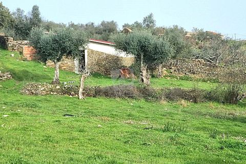 Terra a Perais, Castelo Branco, Perais - € 34.000 | Ref: H771 - foto 2