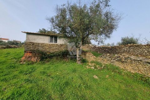 Terra a Perais, Castelo Branco, Perais - € 34.000 | Ref: H771 - foto 3