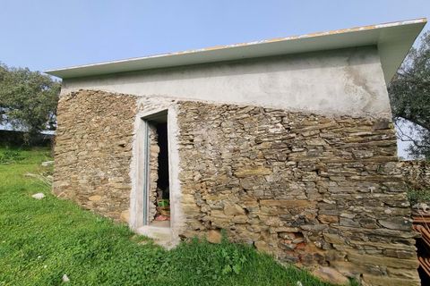 Terra a Perais, Castelo Branco, Perais - € 34.000 | Ref: H771 - foto 4