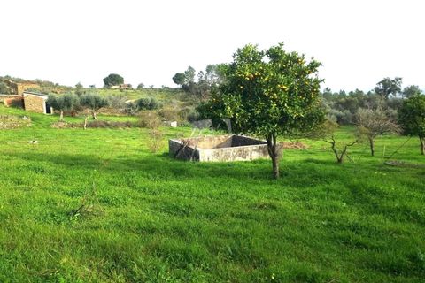 Terra a Perais, Castelo Branco, Perais - € 34.000 | Ref: H771 - foto 7