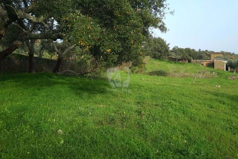 Terra a Perais, Castelo Branco, Perais - € 34.000 | Ref: H771 - foto 9