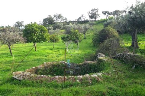 Terra a Perais, Castelo Branco, Perais - € 34.000 | Ref: H771 - foto 10