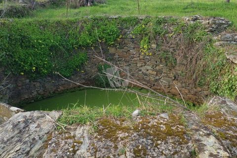 Terra a Perais, Castelo Branco, Perais - € 34.000 | Ref: H771 - foto 11