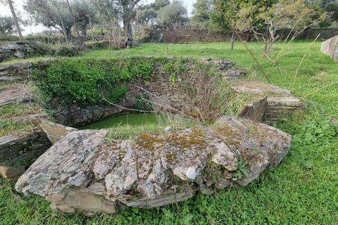 Terra a Perais, Castelo Branco, Perais - € 34.000 | Ref: H771 - foto 12