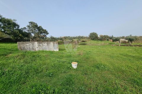 Terra a Perais, Castelo Branco, Perais - € 34.000 | Ref: H771 - foto 13