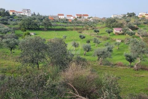 Terra a Perais, Castelo Branco, Perais - € 34.000 | Ref: H771 - foto 14