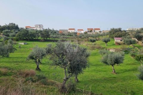 Terra a Perais, Castelo Branco, Perais - € 34.000 | Ref: H771 - foto 16
