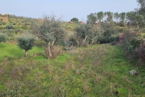 Terra a Perais, Castelo Branco, Perais - € 34.000 | Ref: H771 - foto 18