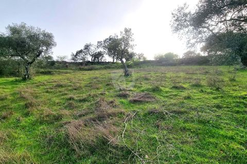 Terra a Perais, Castelo Branco, Perais - € 34.000 | Ref: H771 - foto 19