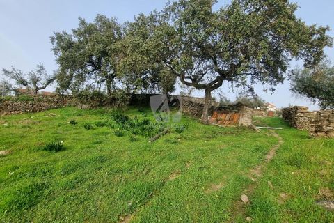 Terra a Perais, Castelo Branco, Perais - € 34.000 | Ref: H771 - foto 24