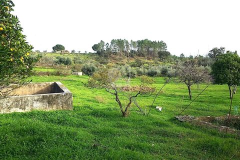 Terra a Perais, Castelo Branco, Perais - € 34.000 | Ref: H771 - foto 28