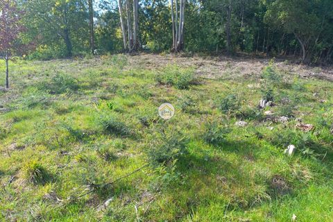 Helårsgrund i Lousa, Coimbra, Lousa - € 25.000 | Ref: 1TC4138 - foto 4