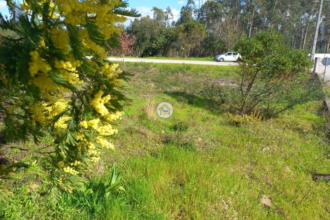 Helårsgrund i Lousa, Coimbra, Lousa - € 25.000 | Ref: 1TC4138 - foto 6