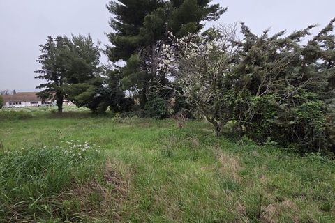 Farm hus i Montecosaro, Macerata, Montecosaro - € 470.000 | Ref: MC3-46458 - foto 8
