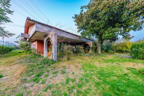 Villa i Santo Tirso, Porto, Santo Tirso - € 510.000 | Ref: CM-055 - foto 16