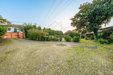 Villa i Santo Tirso, Porto, Santo Tirso - € 510.000 | Ref: CM-055 - foto 33