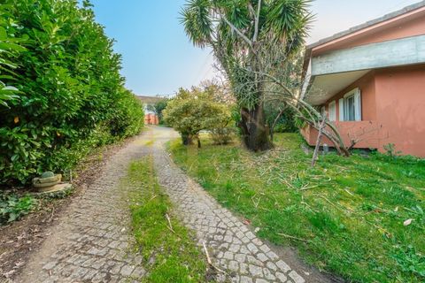 Villa i Santo Tirso, Porto, Santo Tirso - € 510.000 | Ref: CM-055 - foto 49